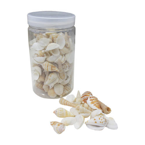 Sea Shells Assorted Shapes 700g - Zart