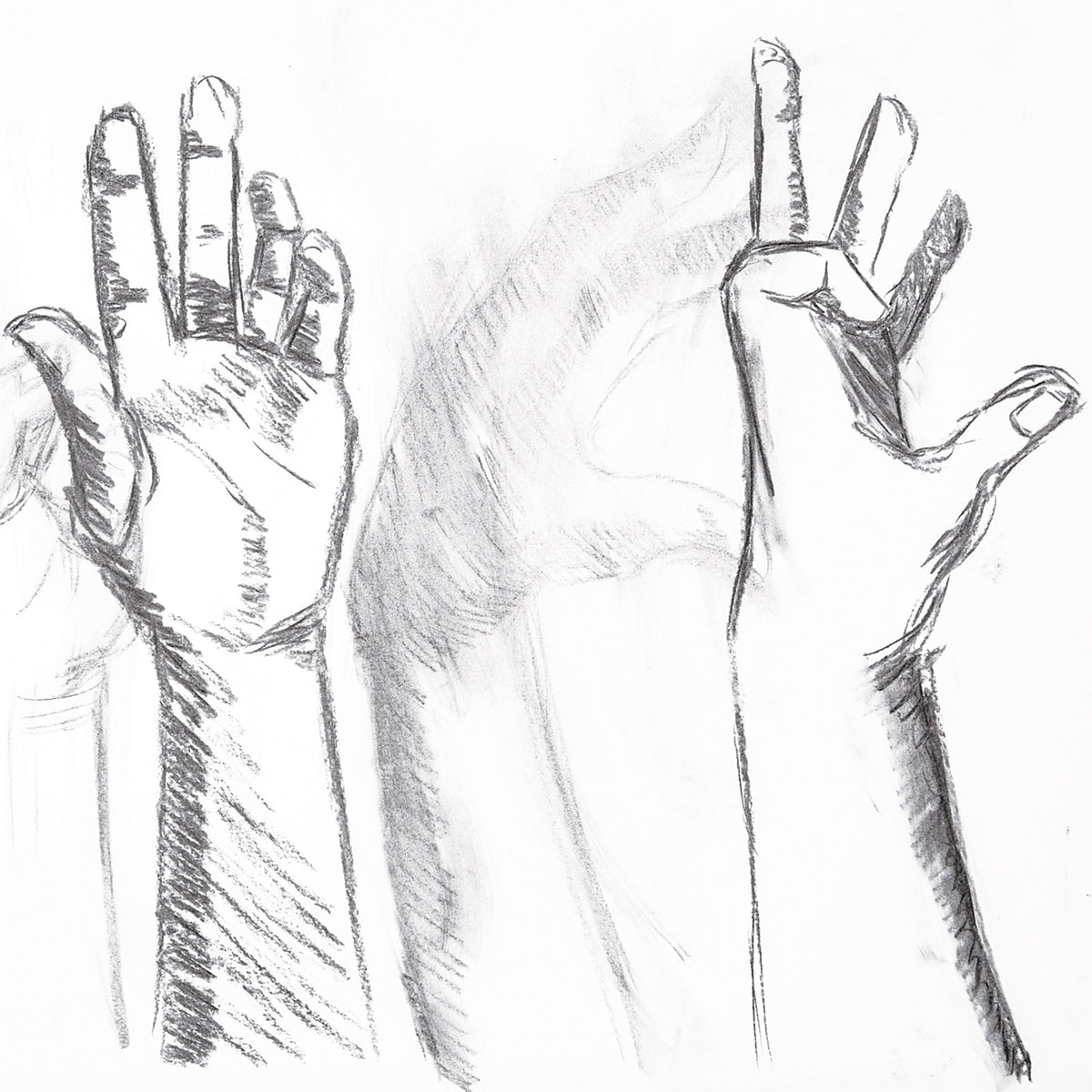 A charcoal study of two raised hands with fingers outstretched and slightly curled. Loose, gestural strokes and directional hatching build tone and shadow across the palms and wrists, with soft smudged shading, demonstrating the expressive, velvety marks achievable with natural willow charcoal.