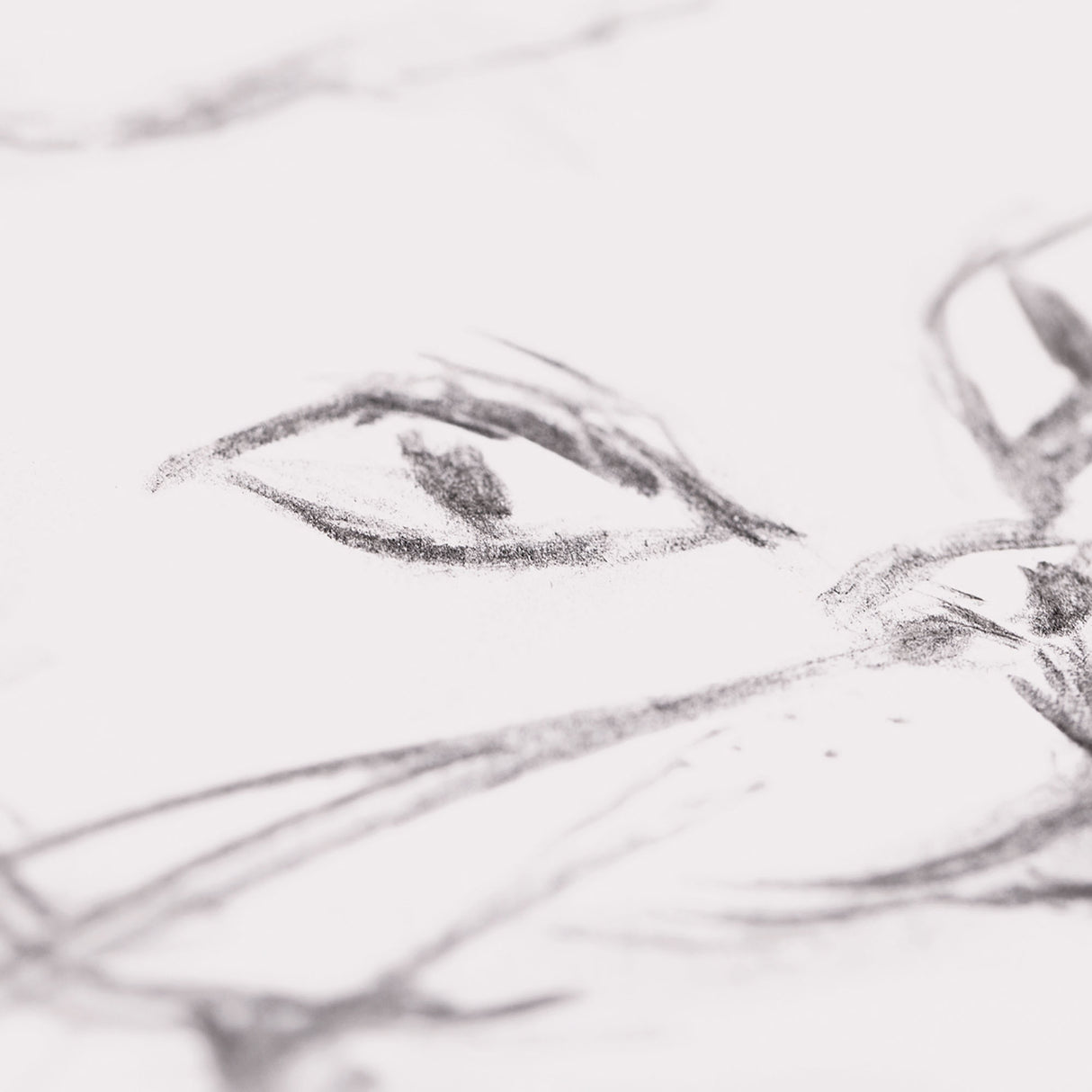 Newsprint Butcher Paper 49gsm - Zart