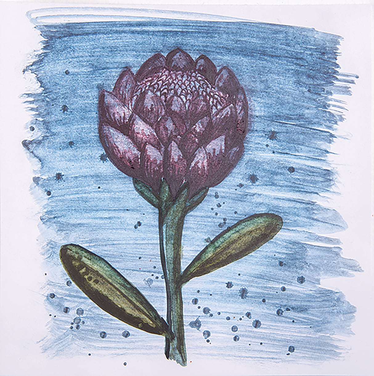 Zart Graphite Charcoal Watercolours