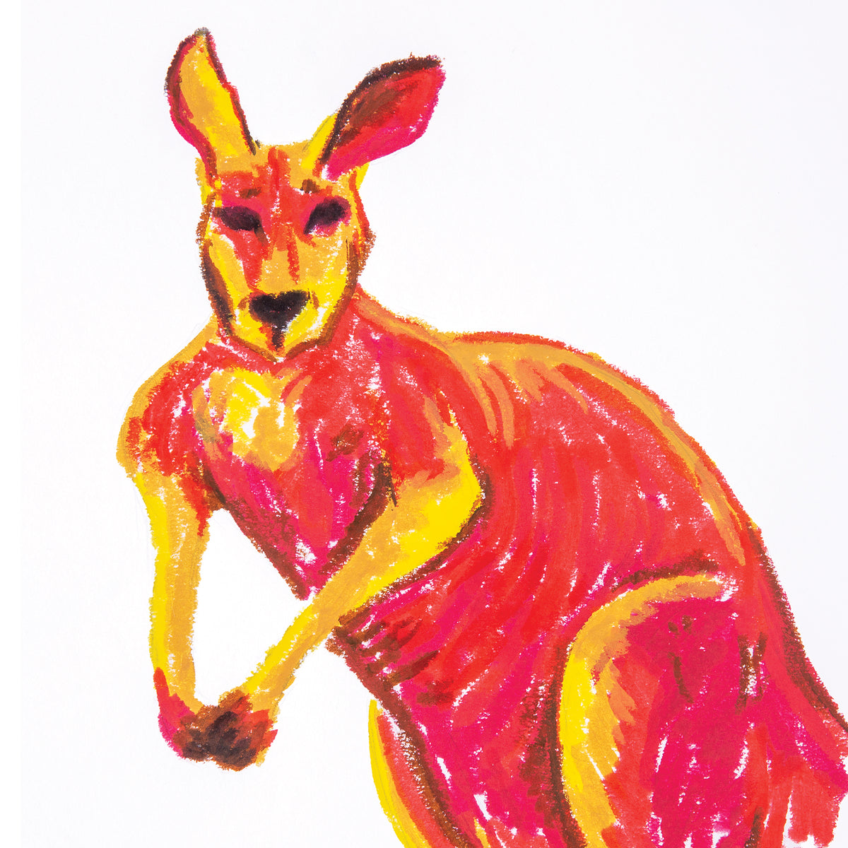 A close-up sample artwork drawn with Ochre Slicks, showing a kangaroo's head, chest and forearm rendered in warm red, pink and yellow layered strokes with dark outlining. The ears are lined in deep pink, the eyes and nose in black, and the body built from streaky, textured mark-making.