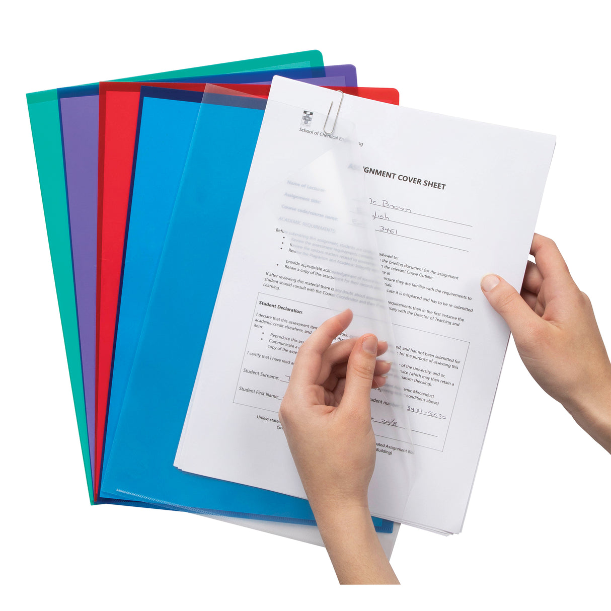 Marbig Letter File A4 Asst Colours Pack of 10 - Zart