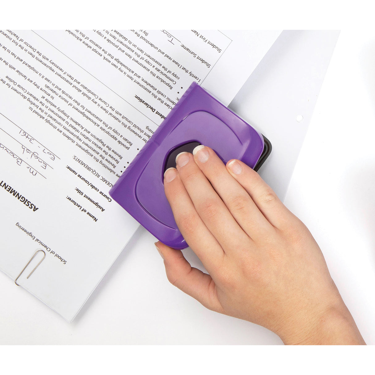 Marbig 2 Hole Plastic Punch Asst Colours - Zart