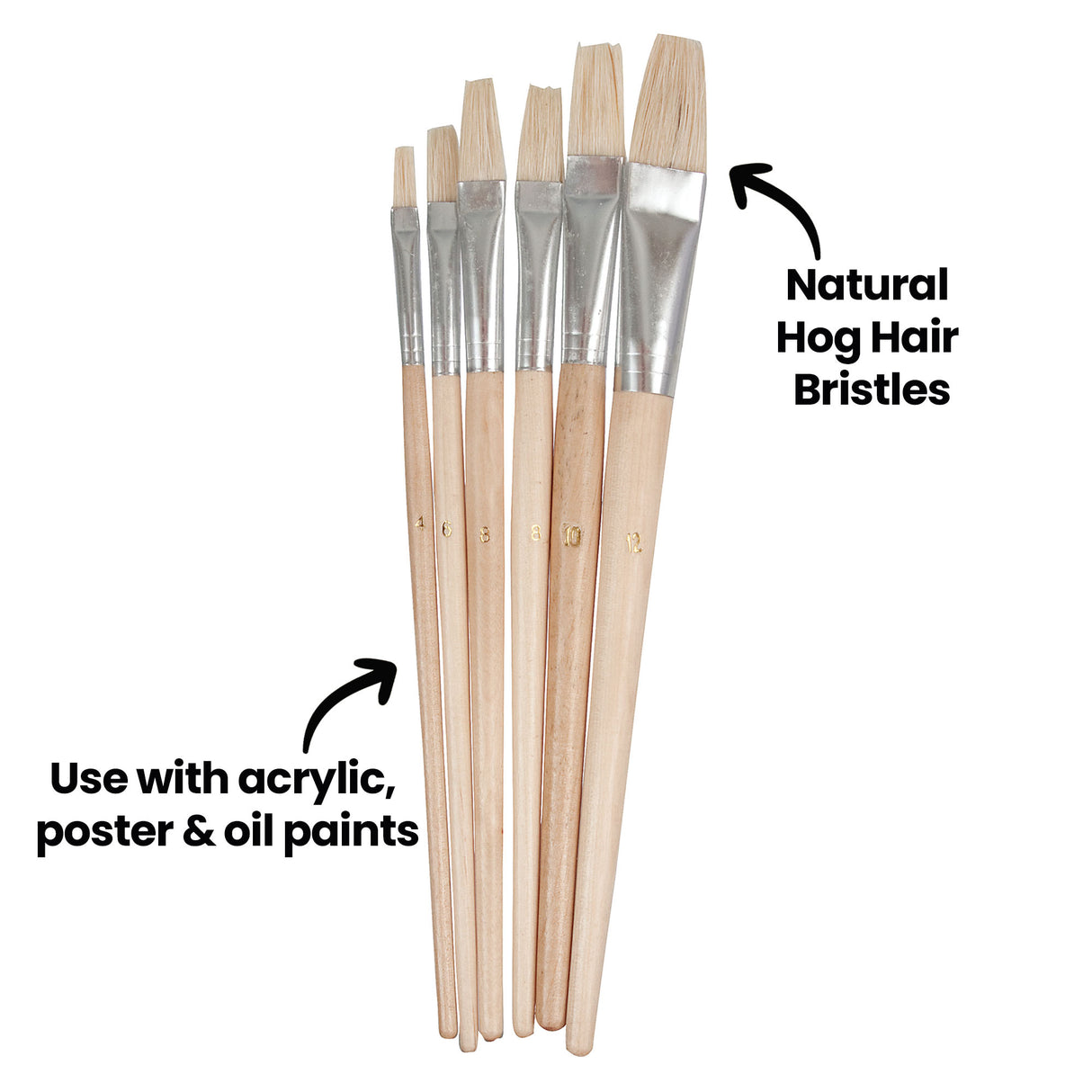 Six flat paint brushes arranged upright with on-image text reading “Natural Hog Hair Bristles” pointing to the bristles, and “Use with acrylic, poster & oil paints” pointing to the wooden handles. Sizes printed on handles include 4, 6, 8, 8, 10 and 12.