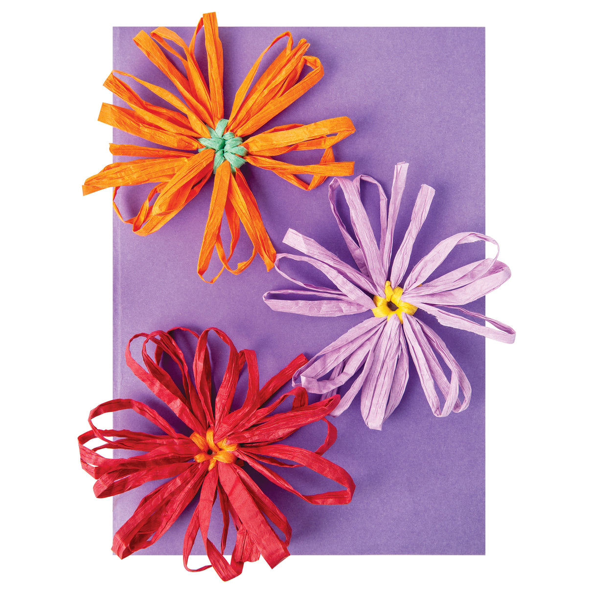 Paper Raffia Coloured Pack of 10 - Zart