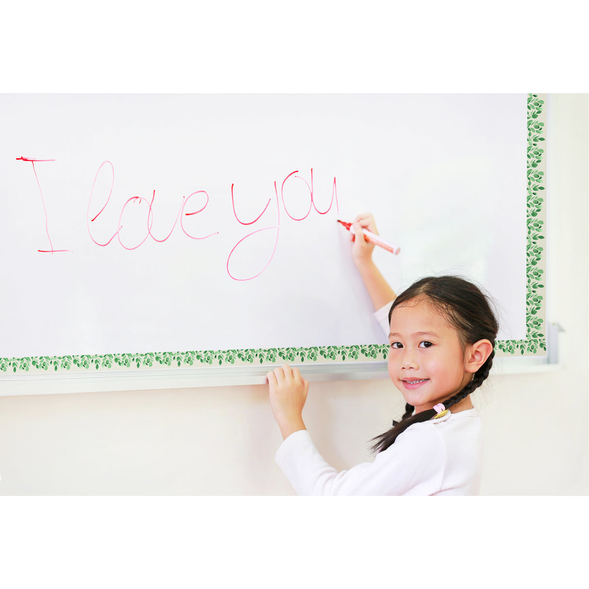 Magnetic Border 60cm x 4cm Pack of 12 - Zart