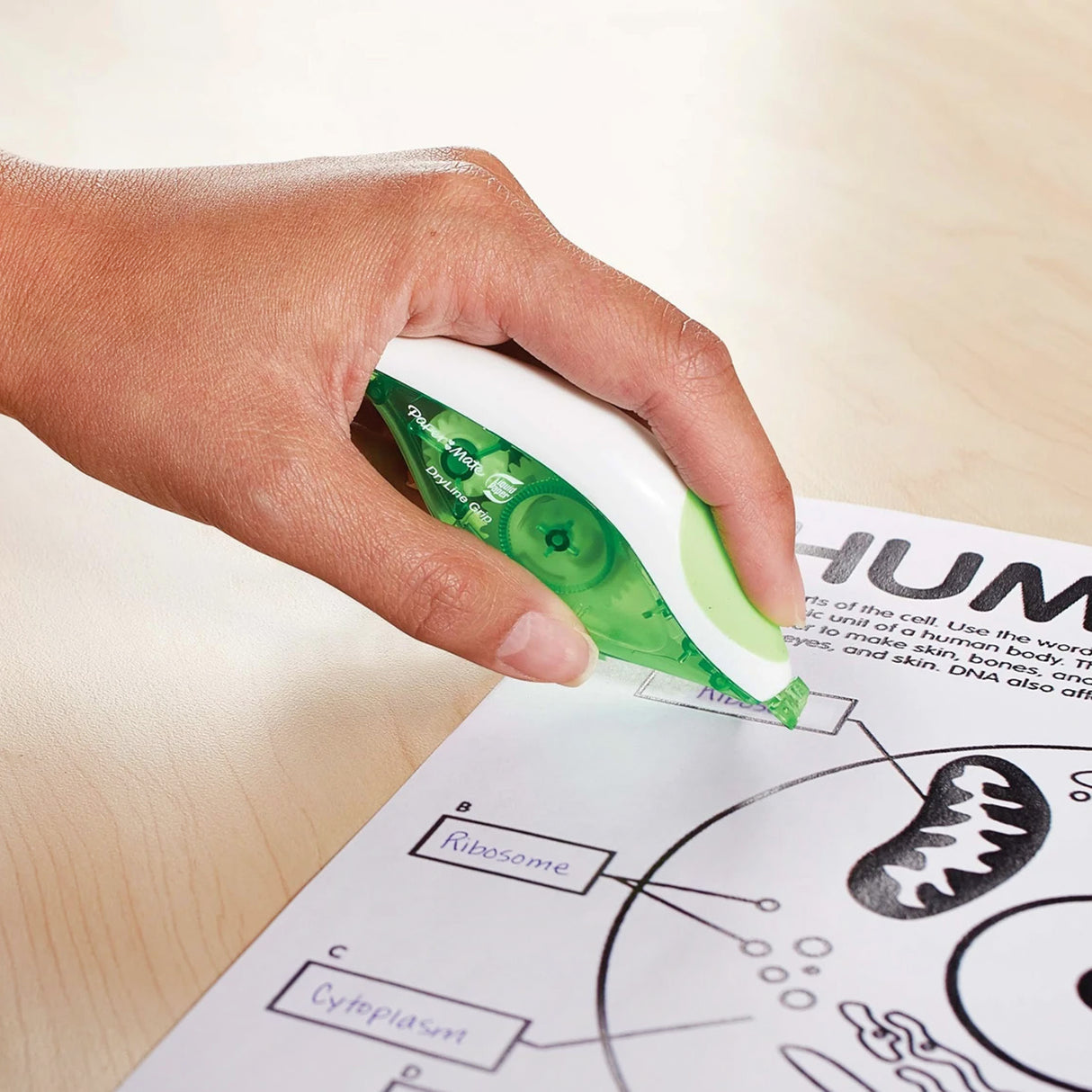 Paper Mate Liquid Paper Dryline Correct Tape 5mm x 8.5m - Zart