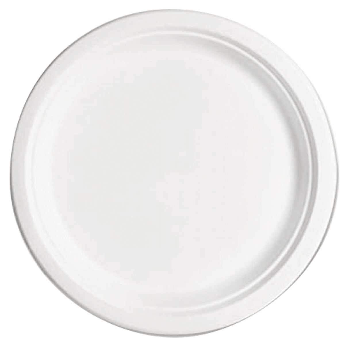 Two white circular eco-friendly plates made from sugar cane material, shown stacked together against a white background. The plates feature a smooth surface with a subtle raised rim and gentle organic edge variation, demonstrating their biodegradable and compostable construction suitable for art projects and craft activities.