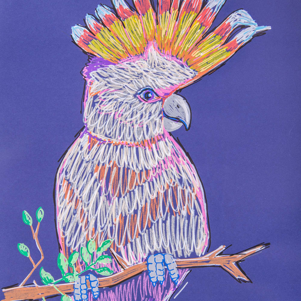 Colourful cockatoo drawn with POSCA paint markers on dark blue paper. Layered strokes create vibrant feathers, a bright crest and perched claws holding a branch.