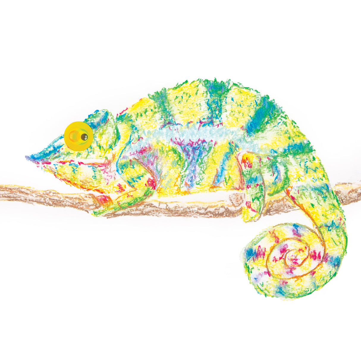 Pastel Colour Switches by Zart Pack of 16 - Zart