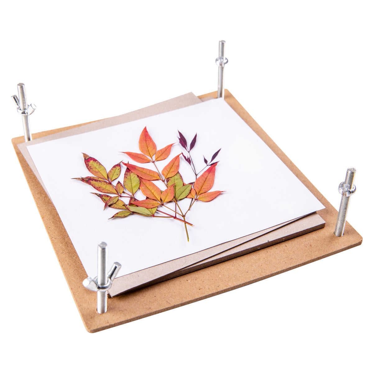 Zart Discovery Flower Press Kit 168 x 160mm