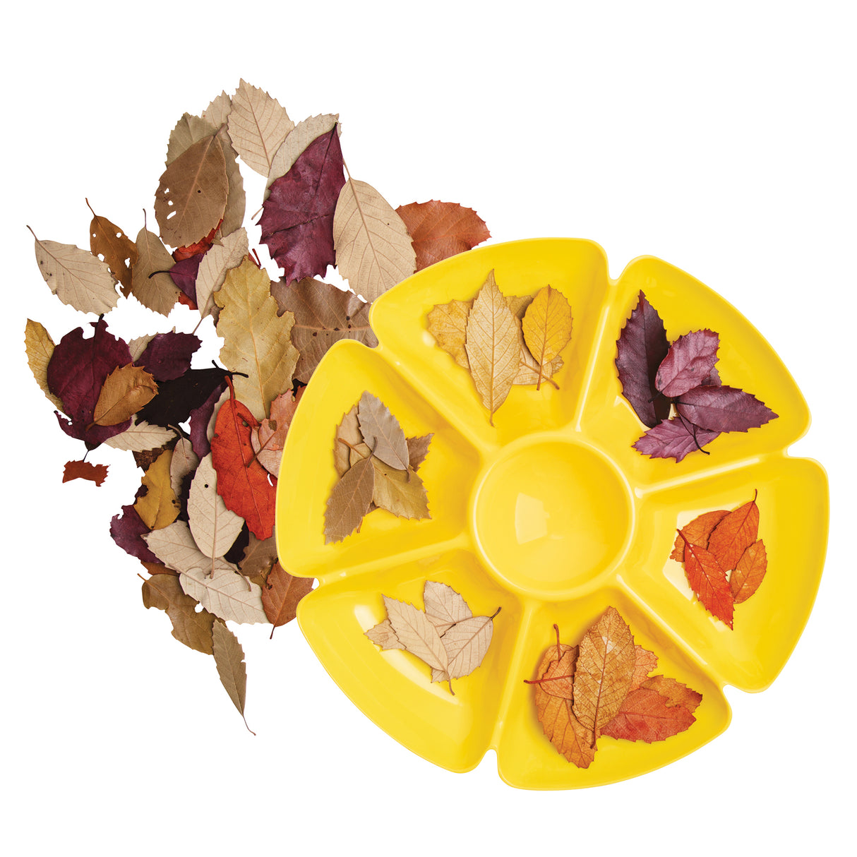 Flower Sorting Tray 39cm