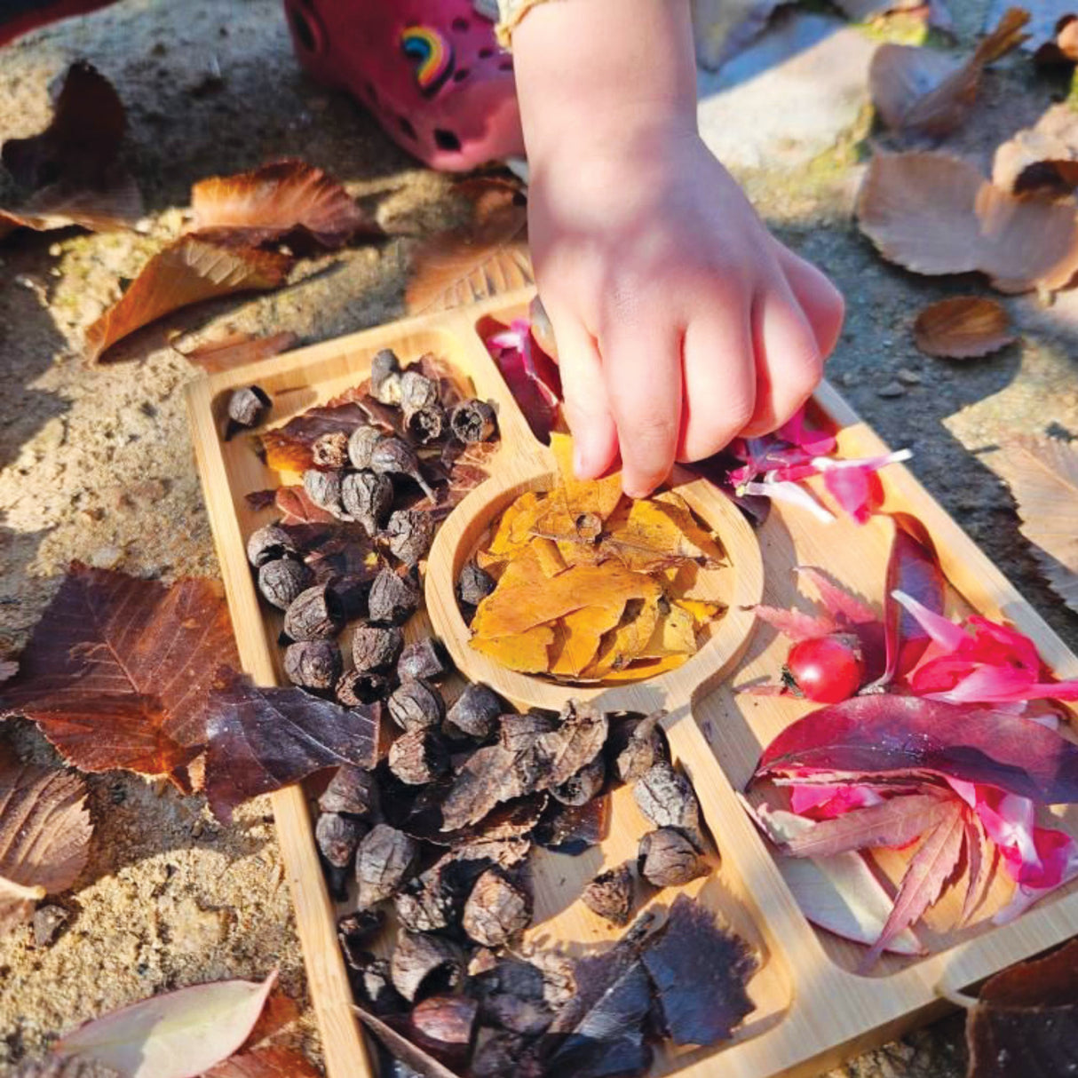 Aboriginal Flag Sorting Tray - Zart