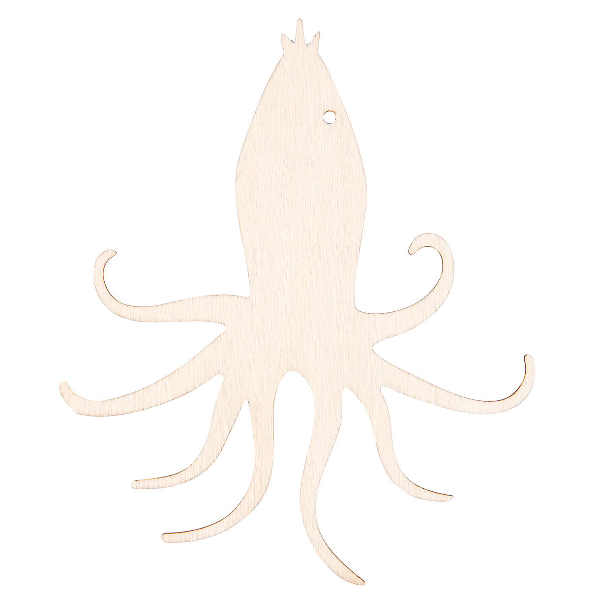 Wooden Australian Shapes Pack of 24 - Zart