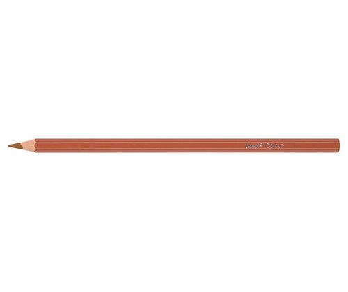 Jasart Skin Tones Pencils Pack of 12 - Zart