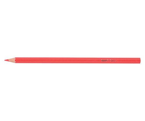 Jasart Tropical Pencils Pack of 12 - Zart