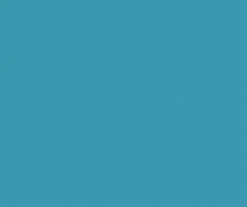 Procion Dye 50g - Zart