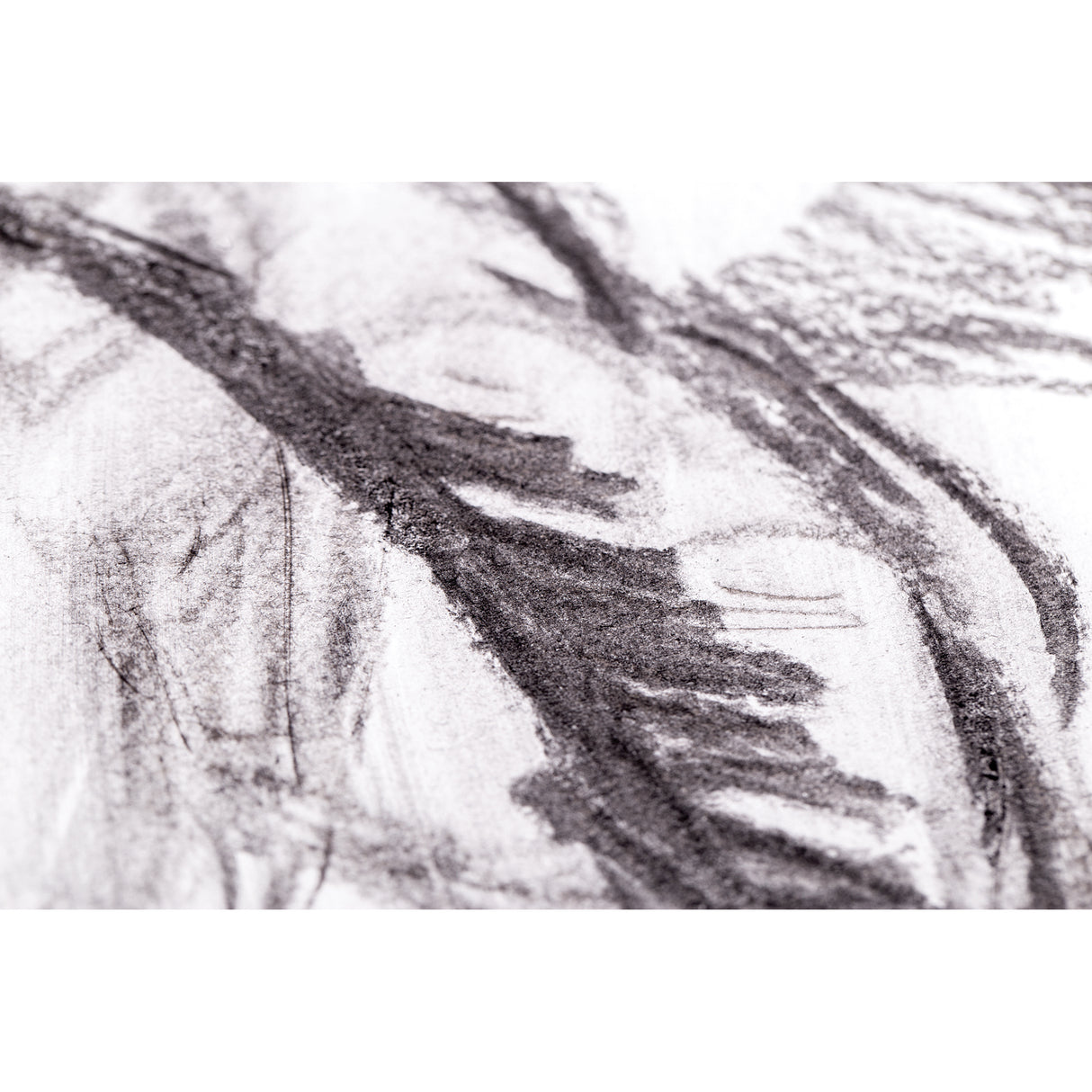 Cartridge Paper 110gsm - Zart