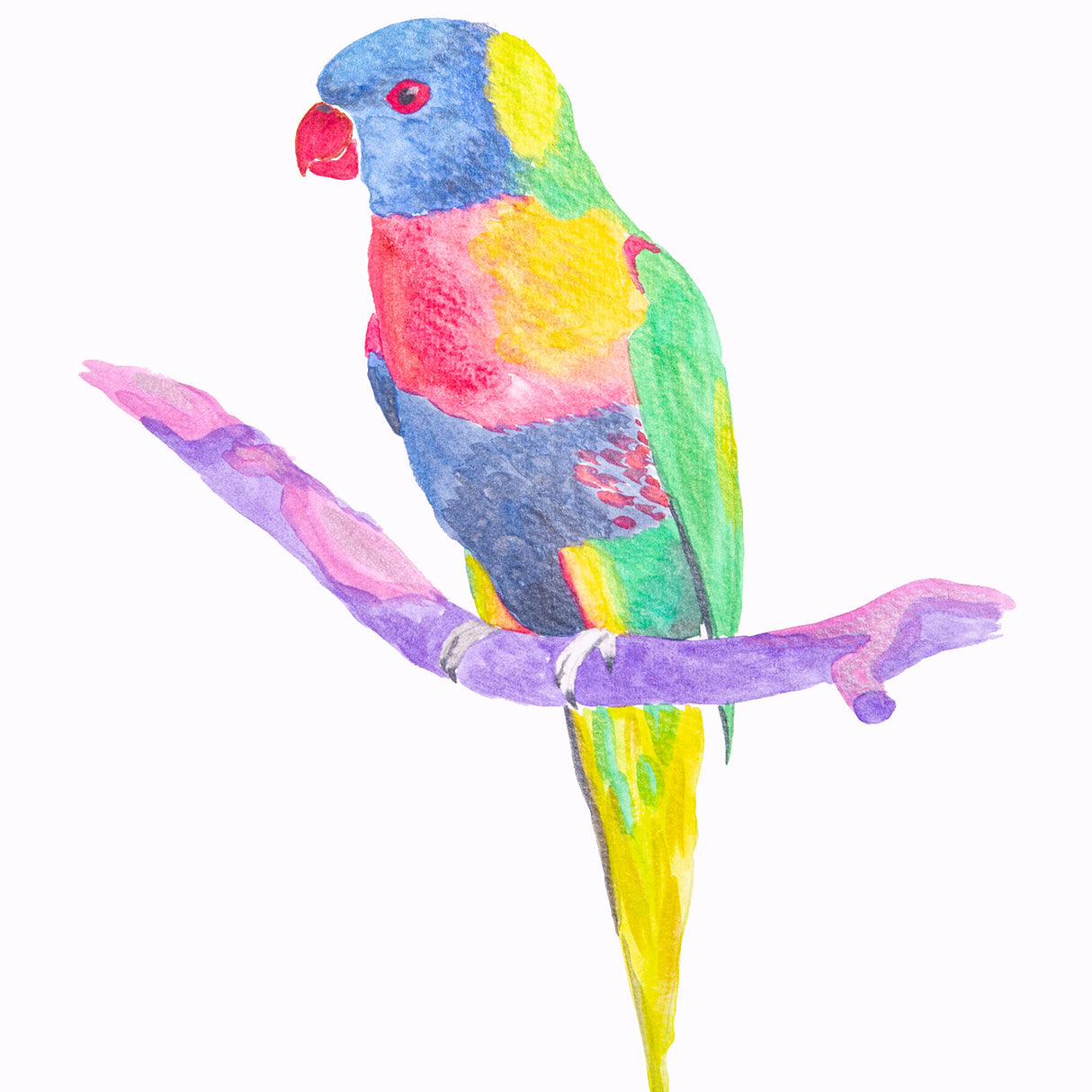 Zart Primecolours Pearlescent Watercolour Paints - Zart