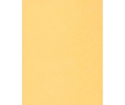 Skin / Earth Tone Craft Paper Pack of 48 - Zart