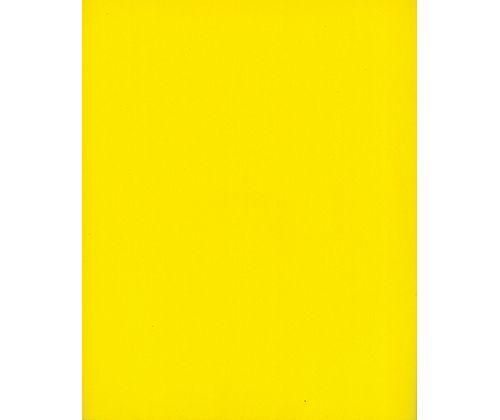 Coloured Posterboard (Pasteboard) 500gsm - Zart