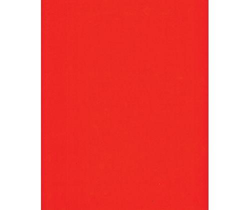 Coloured Posterboard (Pasteboard) 500gsm - Zart