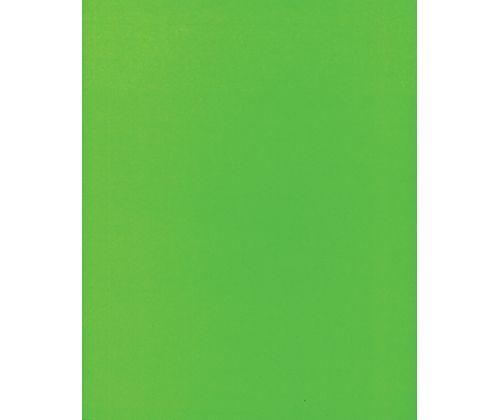 Coloured Posterboard (Pasteboard) 500gsm - Zart