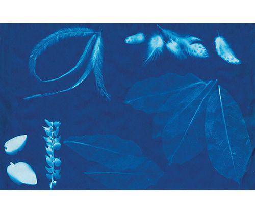 Sun Sensitive Paper Refill 20 x 30cm Pack of 15 - Zart