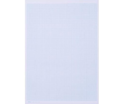 Graph Pad A3 25 Sheets - Zart
