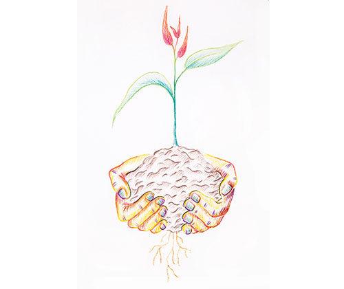 Zart Basics Triangular Coloured Pencils - Zart