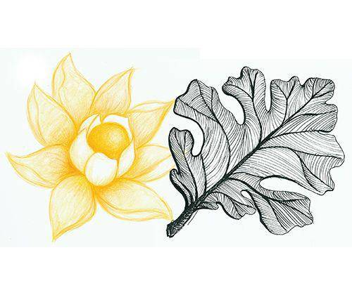 Mineral (Stone) Paper - Zart