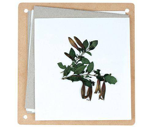 Discovery Flower Press Kit 168 x 160mm - Zart