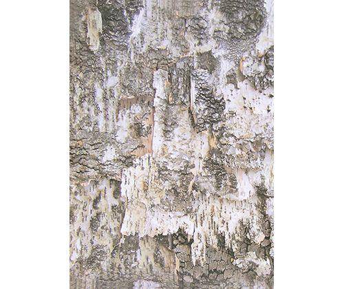 Bark Paper A3 Assorted Pack of 40 - Zart