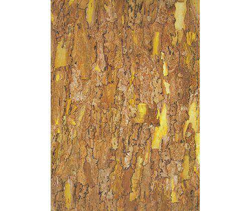 Bark Paper A3 Assorted Pack of 40 - Zart