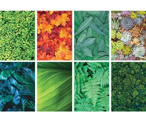 Pattern Papers A4 Foliage Pack of 40 - Zart