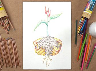 Drawing with Coloured & Watercolour Pencils - Zart Art