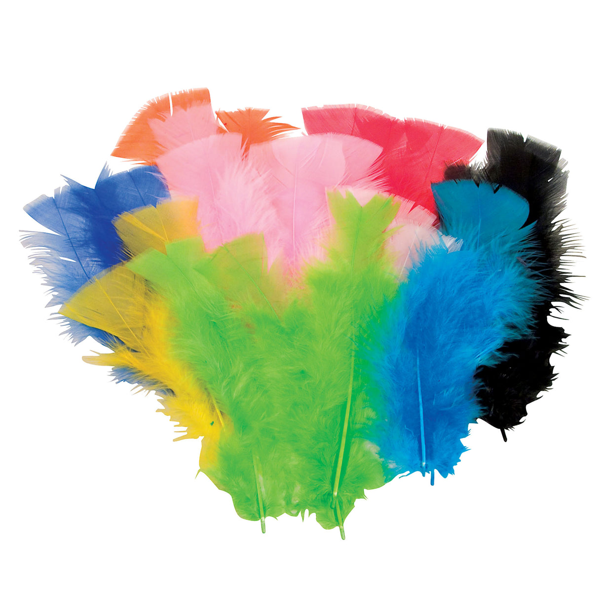 Zart Feathers 60g Coloured Pack of 240 fanned into a rounded spray on a white background. Soft feathers in orange, pink, red, black, royal blue, yellow, lime green and turquoise, showing the fluffy plumage at the base tapering to smoother tips.