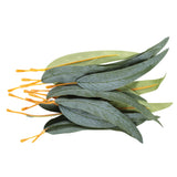 A loose stack of Zart Gum Leaves in varying shades of blue-green and olive, each fabric leaf printed with realistic vein detailing and tapering to a pointed tip, fitted with a flexible orange-yellow plastic stem for bending and positioning in floral or craft displays.