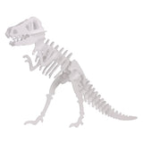White foam pieces assembled into a dinosaur skeleton form, showing smooth outer surfaces and slightly textured cut edges. The interlocking parts create a layered, dimensional look with consistent thickness throughout the structure.