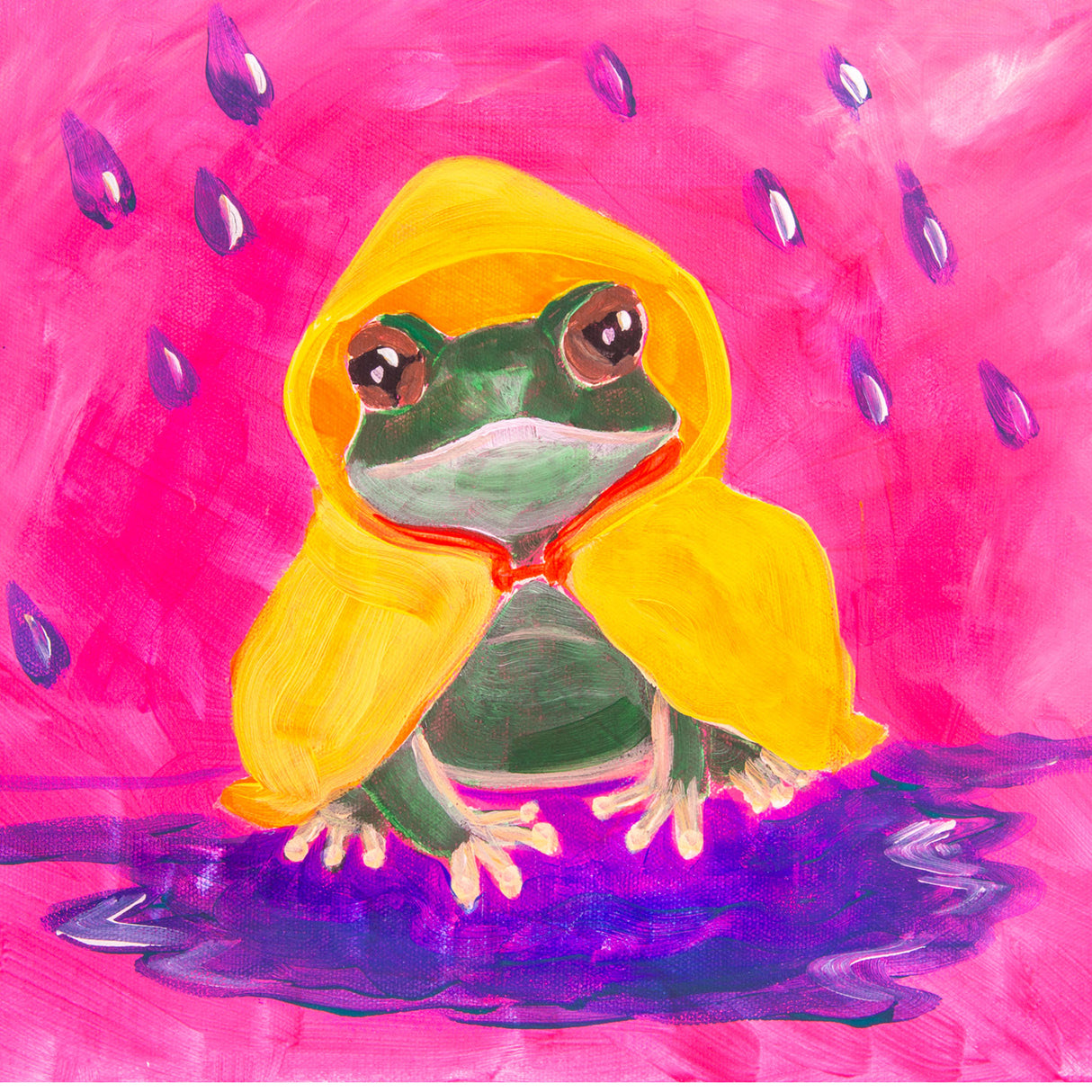 Zart School Colours Acrylic Paint Kit 5 x 250mL