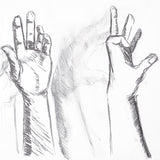 A charcoal study of two raised hands with fingers outstretched and slightly curled. Loose, gestural strokes and directional hatching build tone and shadow across the palms and wrists, with soft smudged shading, demonstrating the expressive, velvety marks achievable with natural willow charcoal.