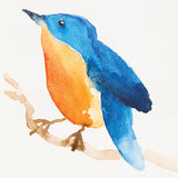 A watercolour painting of a small bird perched on a branch, created using Eco Colour Liquid Food Dyes. The bird features a vivid blue back and wings blending into a warm orange breast, with soft colour bleeds and gentle washes demonstrating the dye's painterly effect.