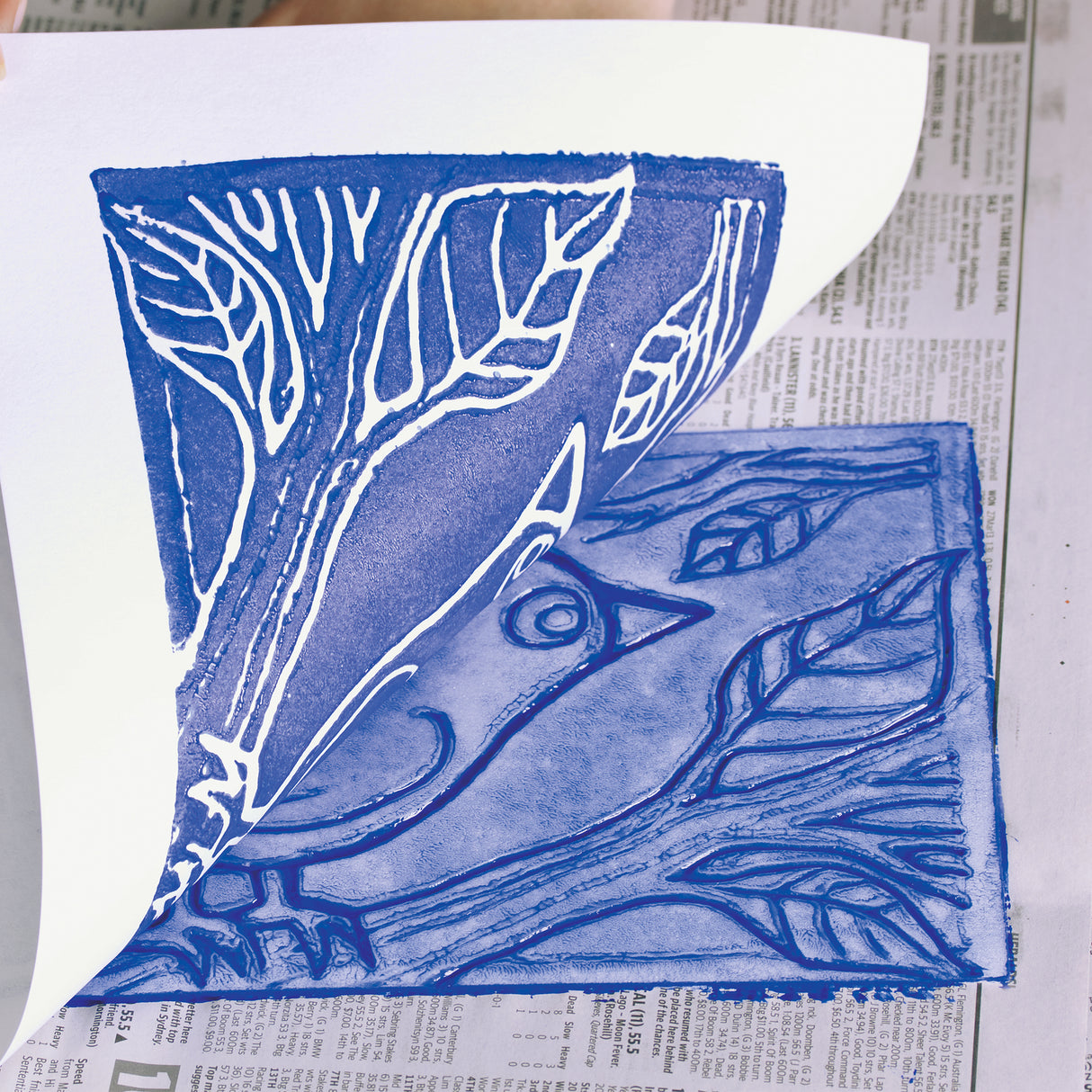 A sheet of white paper is peeled back to reveal a blue print made from a foam plate, showing a bird perched on a branch. Beneath the paper, the inked foam surface shows indented lines forming leaves, feathers and branch details. The print sits on newspaper during the printing process.