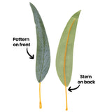 An annotated image of two Zart Gum Leaves shown front and back, labelled "Pattern on front" with an arrow pointing to the printed vein detailing on one leaf, and "Stem on back" with an arrow pointing to the yellow plastic stem running along the reverse of the other.