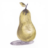 Zart Graphite Charcoal Watercolours