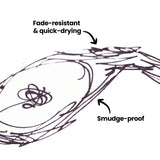 Close-up of black pen linework on white paper with arrows and text reading “Fade-resistant & quick-drying” and “Smudge-proof”, demonstrating clean, crisp lines without smearing.