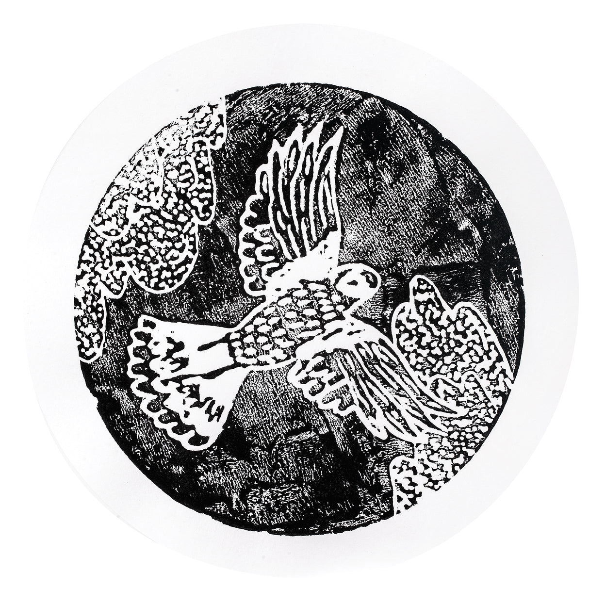 A round print made with a Zart Printing Foam Round, showing a bold black-and-white design of a bird in flight, wings spread wide against a textured black background. White linework details the feathers and tail in a raised, patterned finish, with the surrounding paper left plain white.