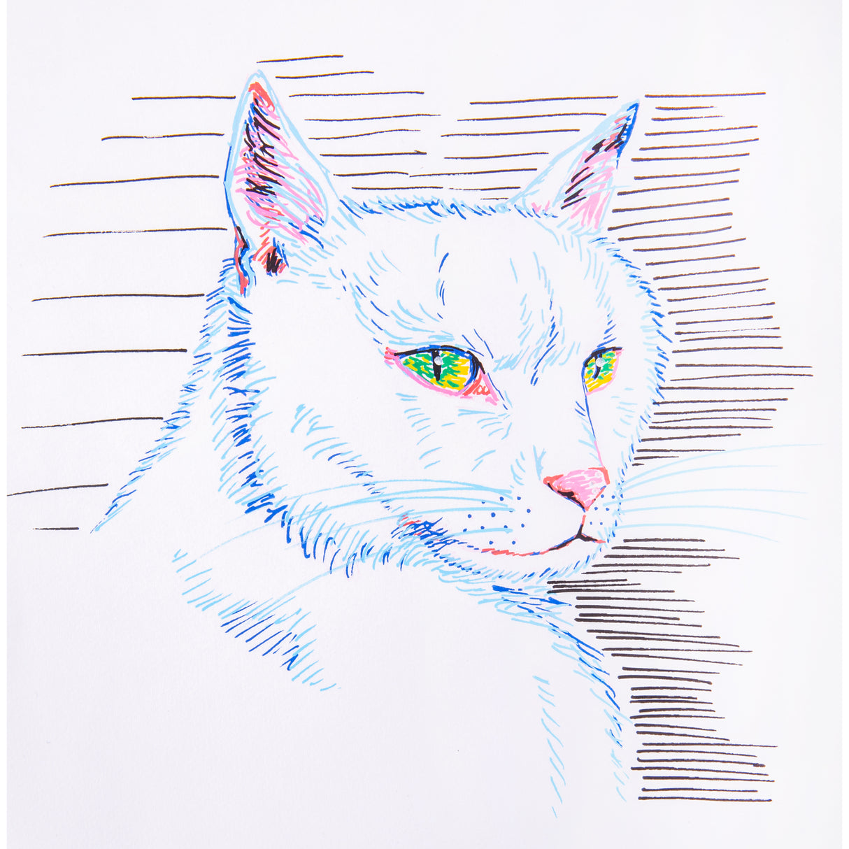 Line-drawn portrait of a cat created with POSCA markers, featuring layered strokes in blue, red, and brown, with bright yellow and green eyes.