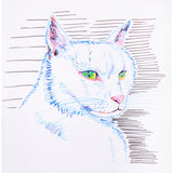 Line-drawn portrait of a cat created with POSCA markers, featuring layered strokes in blue, red, and brown, with bright yellow and green eyes.