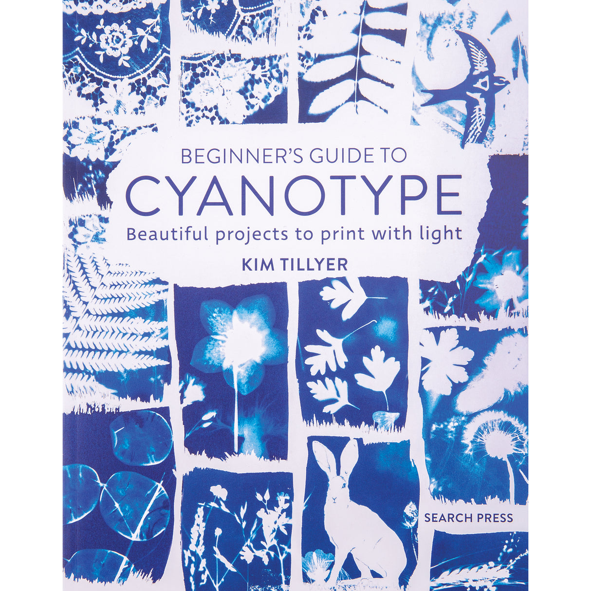 Beginners Guide To Cyanotype